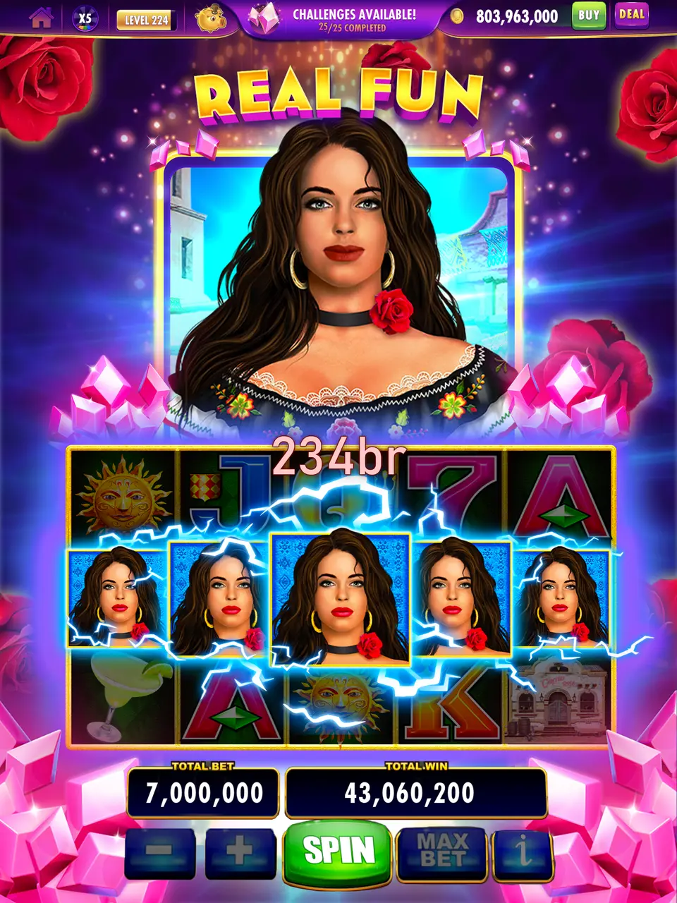 234br Login